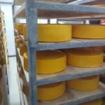 cheese-wheels-150x150906535-1