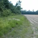 riparian-buffer-150x15057517-1
