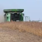 soybean-harvest-isu-2019-150x150877393-1