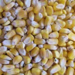190109_corn_seed_md-150x150290982-1