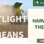 mo-soybeans_harvest-at-the-farm_800x418-copy-150x150833494-1