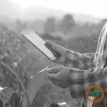 technology400x400-150x150688530-1