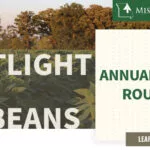 mo-soybeans_annual-report-roundup_800x418-copy-150x150624813-1