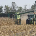corn-harvest-150x150903484-1