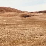 drought-2-150x150417722-1