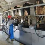 dairy-parlor-rotating-150x150619316-1