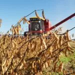 soybean-brazil-harvest-150x150200643-1
