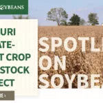 mo-soybeans_crop-and-livestock-project_800x418-copy-150x150506342-1