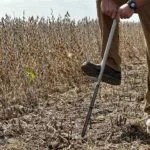 scn-soil-test-2-150x150230903-1