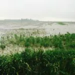 missouri-crops-flooded-150x150533799-1