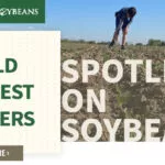 mo-soybeans_yield-contest-winners_800x418-copy-150x150303442-1
