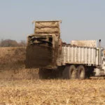 190911_manure_md-150x150324890-1