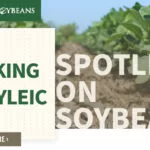 mo-soybeans_speaking-on-soyleic_800x418-copy-150x15098446-1