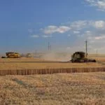 ukrainewheatharvest-150x150142541-1