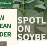 mo-soybeans_new-soybean-breeder_800x418-copy-150x150513125-1