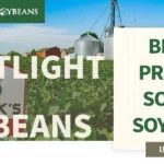 mo-soybeans_new-soybean-breeder_800x418-150x150447985-1