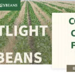mo-soybeans_new-soybean-breeder_800x418-150x150305191-1