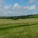 grassland-150x150542985-1