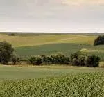 wisconsin-farmland-150x140995931-1