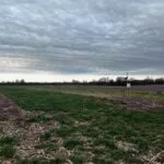 cover-crops_mo_2024-150x150435073-1