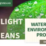 mo-soybeans_waterborne-environmental-project_800x418-150x150875504-1