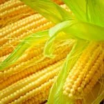 sweetcorn-150x150352672-1