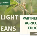 mo-soybeans_partnerships-in-agricultural-education_800x418-150x150216234-1