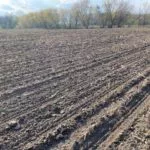 planted_field_4_26_21_md-150x150832163-1