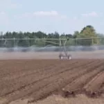 potatoes-planted-w-irrigation-running-150x15017728-1