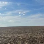 missourifarmland_2023-150x150334948-1