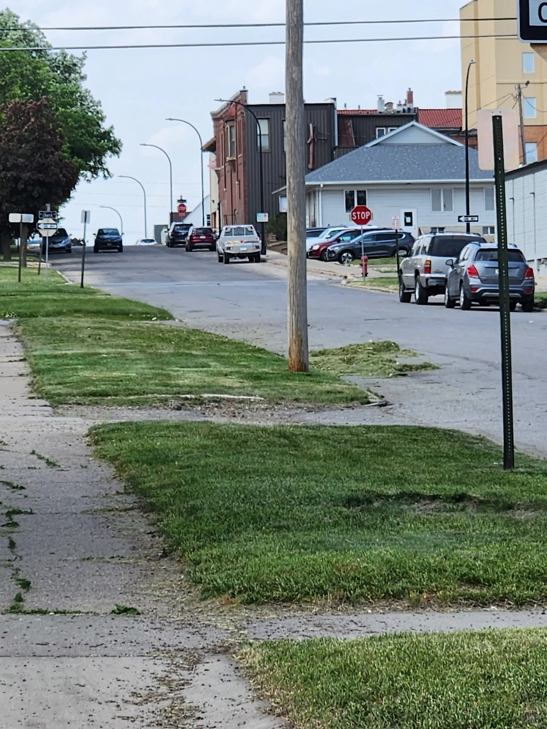 grass-on-roadway-jpeg