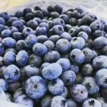 blueberries-150x150680296-1