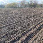 planted_field_4_26_21_md-150x150447741-1