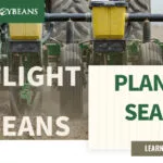mo-soybeans_planting-season_800x418-150x150551613-1