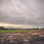 mudpuddle-150x150700379-1