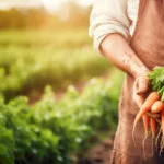 carrots-150x150816148-1