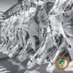 beefpacker-150x150730976-1