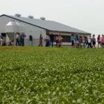 iffp-expedition-farm-country-9-16-150x150499394-1