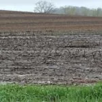 20170501_181913-150x150167871-1