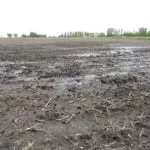 wet-field-in-lincoln-county-sd-160516-150x150620367-1