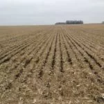 201021_biegler_striptill_md-150x150953034-1