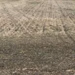 240530_emergence_md-150x150618978-1