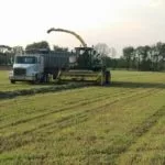 190613_alfalfa_harvest_md-150x150689929-1