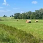 hay_northernmo_2023-150x150924220-1