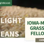 mo-soybeans_grassroots-fellowship_800x418-150x150821626-1