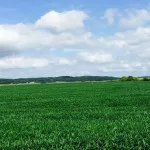 072815scott-county-illinois-150x150607047-1