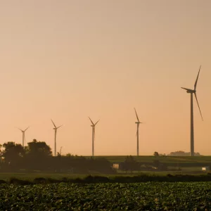 wind-turbines-jpg-5