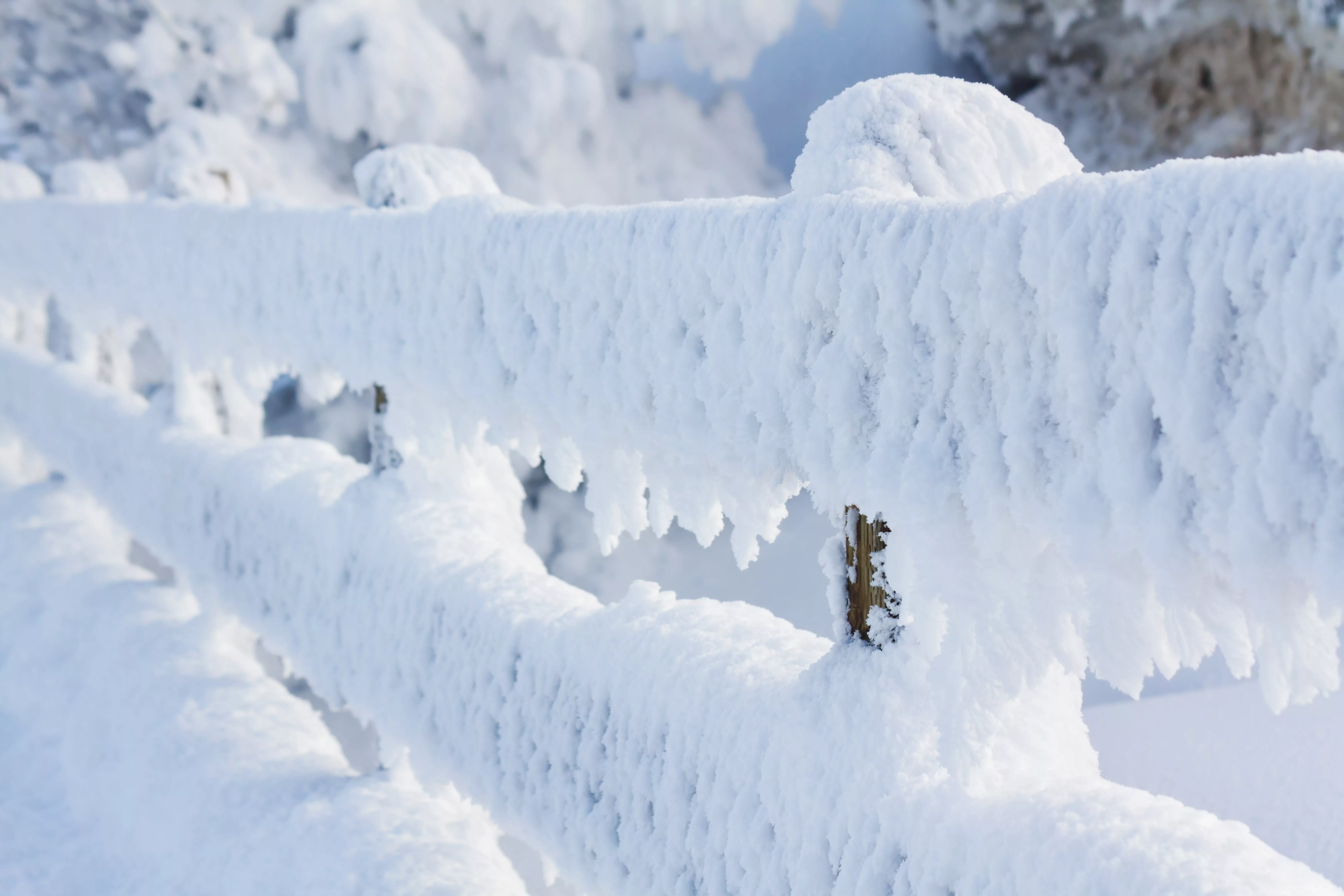 snow-1-jpg