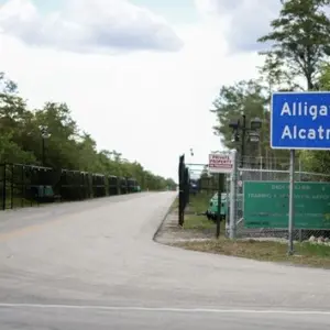 g_aligatoralcatraz_081425186655