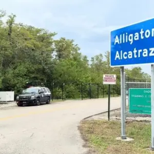 n_alagatoralcatrazabc_081925372725